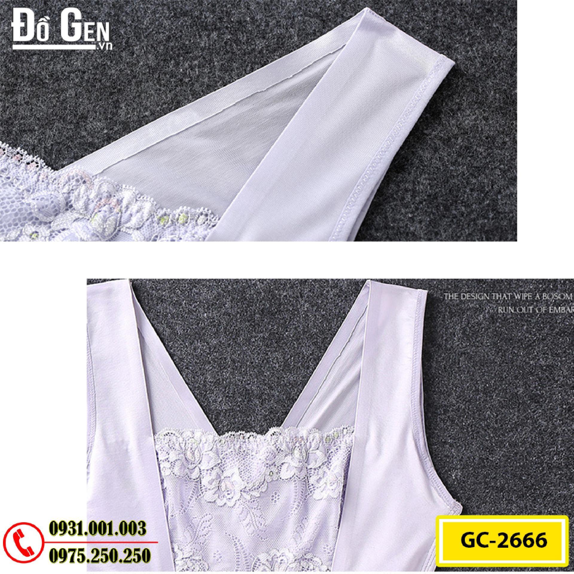 Bộ Đồ Lót Định Hình Bikini Liền Thân Thu Gọn Vòng Eo (Cod: GC-2666)